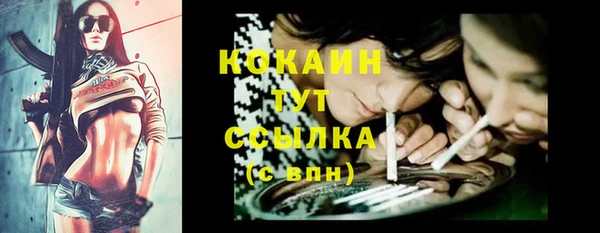 ECSTASY Богданович