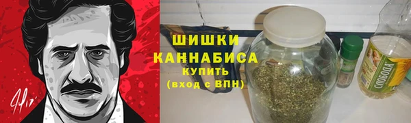 ECSTASY Богданович