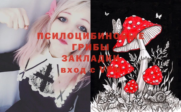 ECSTASY Богданович