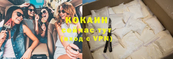 ECSTASY Богданович