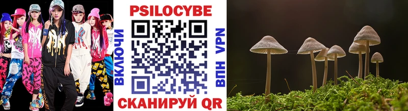 Псилоцибиновые грибы Cubensis  OMG как войти  Горняк  купить наркотики цена 